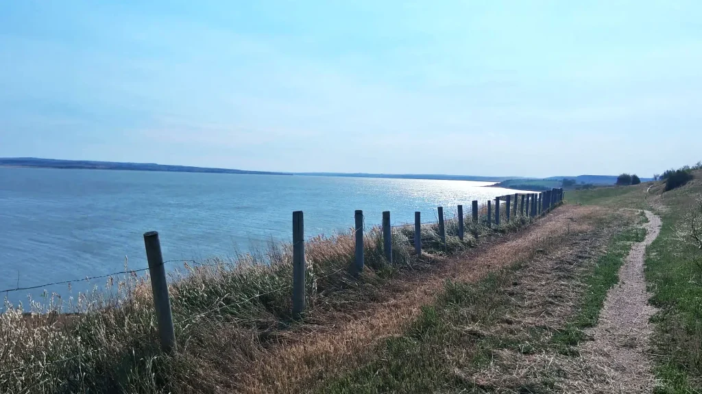 A scenic shoreline path bordered by a fence and lush green grass, inviting for a leisurely stroll.